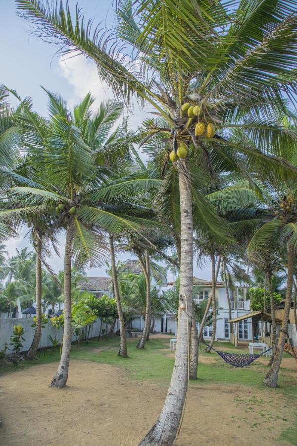 Kodi Beach Home Galle Exterior photo